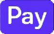 pay icon