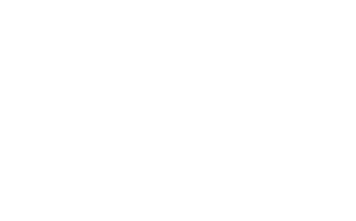 sarrow white logo